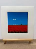 Giò Mondelli (1953) - Lontananze