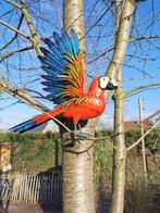 Papegaai - Figurine - Parrot - Fer, Métal