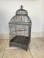 Vogelkooi - Smeedijzer - Vogelkooi antiek