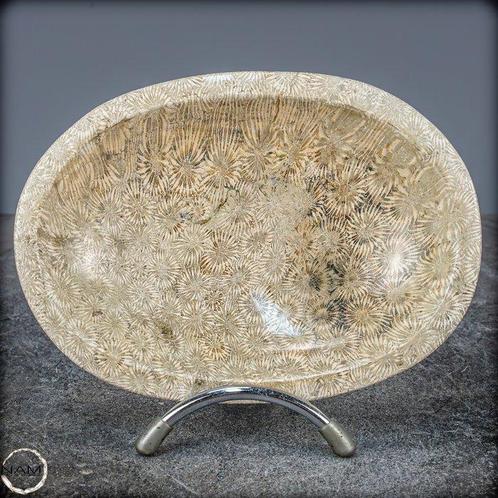 Natuurlijke Fossiele Koraal Kom Australië- 558.57 g, Verzamelen, Mineralen en Fossielen