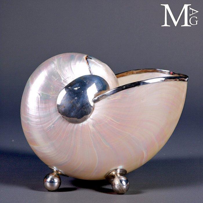 Kabinet der curiositeiten Parelmoeren Nautilus – Zilveren, Antiquités & Art, Curiosités & Brocante