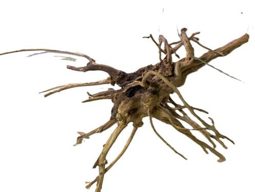 Driftwood Selected DW28 - 40x30x15cm (Small drift wood), Dieren en Toebehoren, Vissen | Aquaria en Toebehoren, Plant(en), Steen of Hout