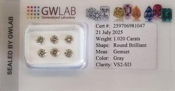 Zonder Minimumprijs - 6 pcs Diamant (Natuurlijk) - 1.02 ct - beschikbaar voor biedingen
