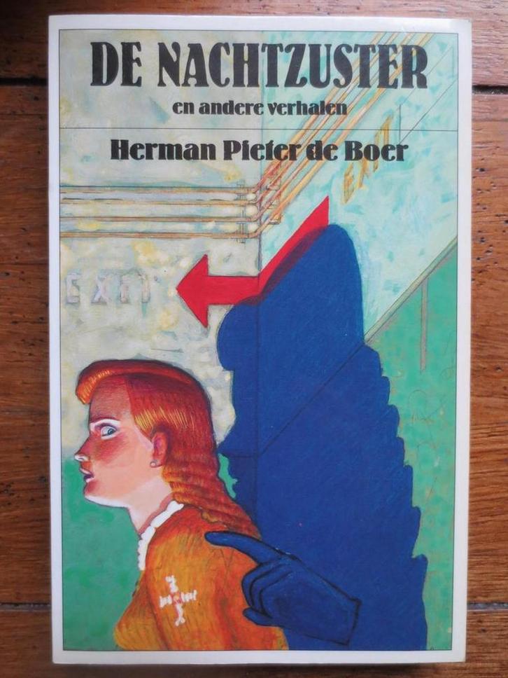 Nachtzuster en andere verhalen 9789026105241 Boer, Boeken, Romans, Gelezen, Verzenden
