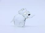 Figuur - Swarovski - Olifantje (Boxed + certificate) -, Antiek en Kunst