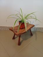 Plantentafel - Cedar, Eik - Bijzettafel Boomstamtafel