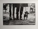 Elliott Erwitt (1928–2018) - New York City, 1974