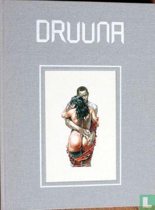 Druuna - 1990, Boeken, Stripverhalen, Zo goed als nieuw, Eén stripboek, Verzenden