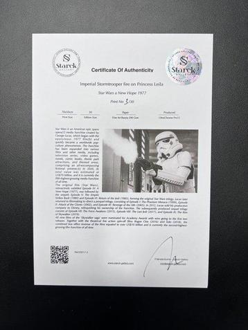 Star Wars Episode IV: A New Hope, Imperial Stormtrooper fire