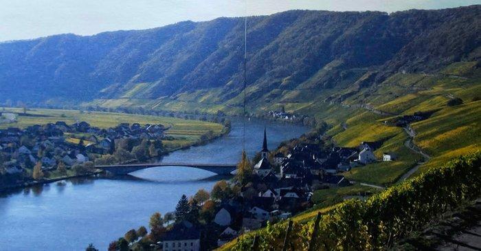 2009 Reinhold Haart, Goldtropchen Riesling, OHMS private, Verzamelen, Wijnen