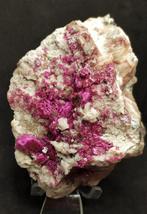 Cobalto Dolomite ( Cobaltodolomite) XXL, cristallisation