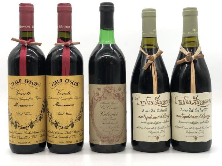 Mixed lot of 5 x 75cl easy reds from Veneto/Bologna (rood), Verzamelen, Wijnen, Italië, Rode wijn, Nieuw, Ophalen of Verzenden