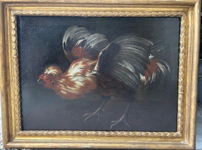 Giovanni Agostino Cassana (1658-1720), Toegeschreven aan -, Antiek en Kunst, Kunst | Schilderijen | Klassiek