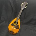 Suzuki - No.226 - - Mandoline - Japan - 1968, Muziek en Instrumenten, Nieuw