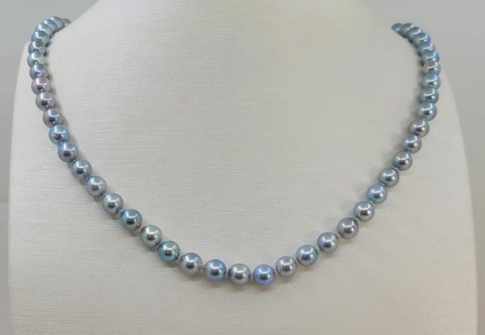 Halsketting 6x6,5mm zilveren Akoya parels, Handtassen en Accessoires, Kettingen