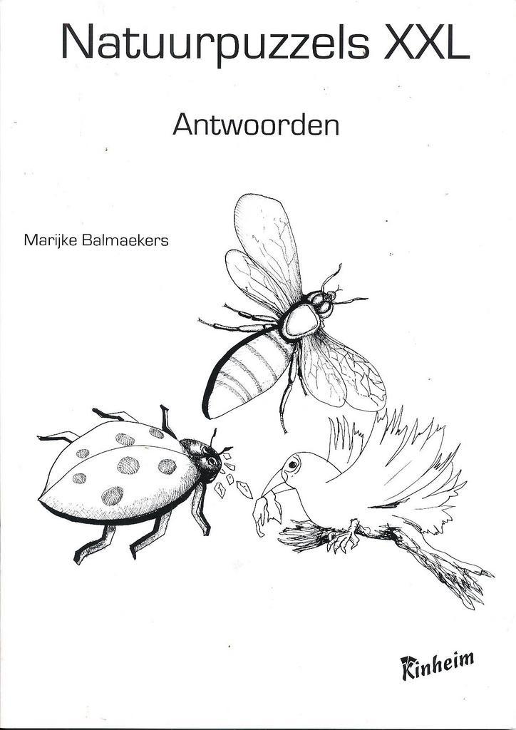 Kinheim Antwoorden Natuurpuzzels XXL, Boeken, Schoolboeken, Verzenden