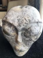 Vrouwelijke buitenaardse schedel gehouwen in Crazy Late, Verzamelen, Mineralen en Fossielen