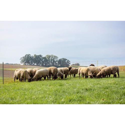 Schapennet, 50 m, oranje, hoogte: 108 cm - dubbele pen -, Dieren en Toebehoren, Stalling en Weidegang