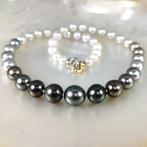 Collier - 18 carats Or jaune Perle - Perle - Diamant, Nieuw