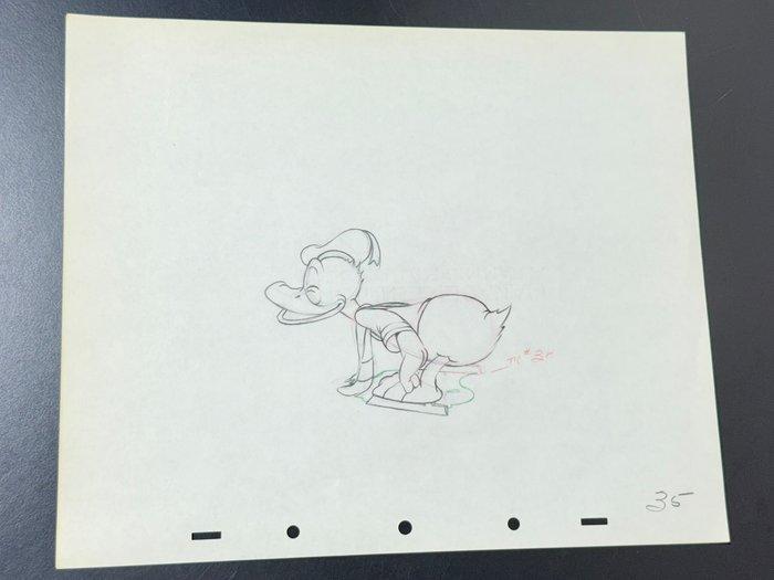 Walt Disney - Donald Duck productietekening (1939) - The, Verzamelen, Disney
