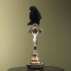 Kraai op Kruis Taxidermie Opgezette Dieren By Max, Ophalen of Verzenden, Opgezet dier
