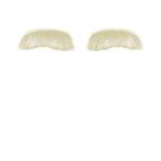 Sinterklaas Wenkbrauwen Deluxe Yak, Verzenden, Nieuw