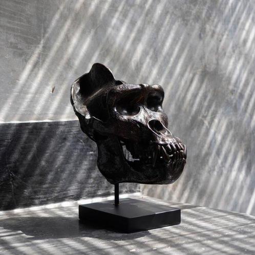 Sculpture, Western Gorilla Skull, cast in the finest, Antiek en Kunst, Kunst | Designobjecten