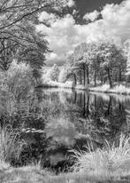 Hans Vos - Small lake in the forest, infrared picture 2025, Antiek en Kunst