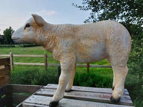 Statue, life size and a lifelike (Texel lamb) - 43 cm -, Antiek en Kunst, Kunst | Designobjecten