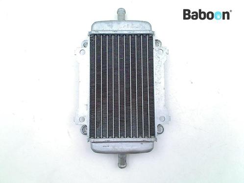 Radiateur Piaggio | Vespa GTS 125 2007-2011 Carb (GTS125, Motos, Pièces | Autre, Envoi