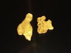 De zeldzame gouden parel uit Lapland Goud nuggets- 0.5 g -
