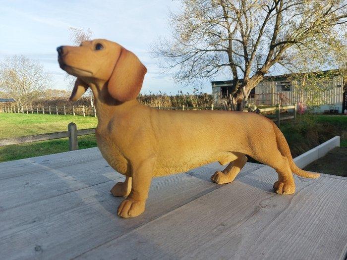 Beeld, tuin beeld van een teckel - 25 cm - polyresin, Antiek en Kunst, Kunst | Designobjecten
