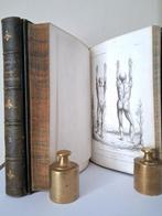 François-Vincent Raspail - Histoire Naturelle de la Santé et, Antiek en Kunst