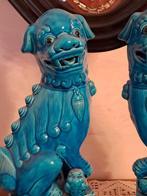 Figure - Coppia di Cani di Foo - Porcelaine - Chine (Sans