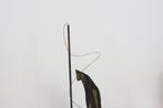 Harry Storms (1945-2023) - sculptuur, Spiral - 100 cm -, Antiek en Kunst