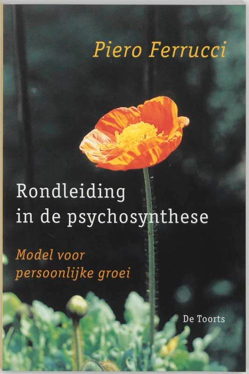 Rondleiding in de psychosynthese 9789060207888 P. Ferrucci, Boeken, Psychologie, Gelezen, Verzenden