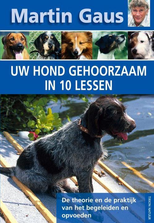 Uw hond gehoorzaam in 10 lessen 9789052105154 Martin Gaus, Boeken, Hobby en Vrije tijd, Gelezen, Verzenden