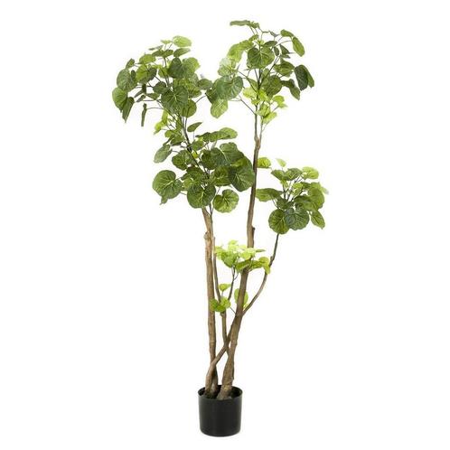 Kunstplant - Polyscias - Aralia - 140 cm, Maison & Meubles, Accessoires pour la Maison | Plantes & Fleurs artificielles