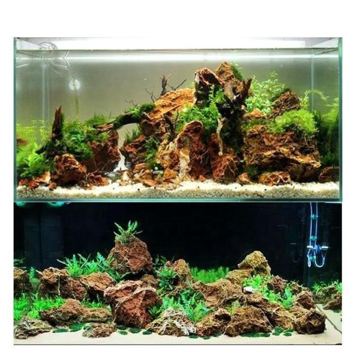 Maple Leaf stone 10-20cm - aquarium decoratie stenen, Dieren en Toebehoren, Vissen | Aquaria en Toebehoren, Nieuw, Verzenden