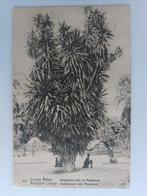 België, Congo - Congo Belge - Ansichtkaart (13) - 1900-1950, Gelopen