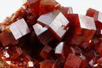 HAUT - VANADINITE (couleur rouge cramoisi) spécimen bicolore, Verzamelen, Mineralen en Fossielen