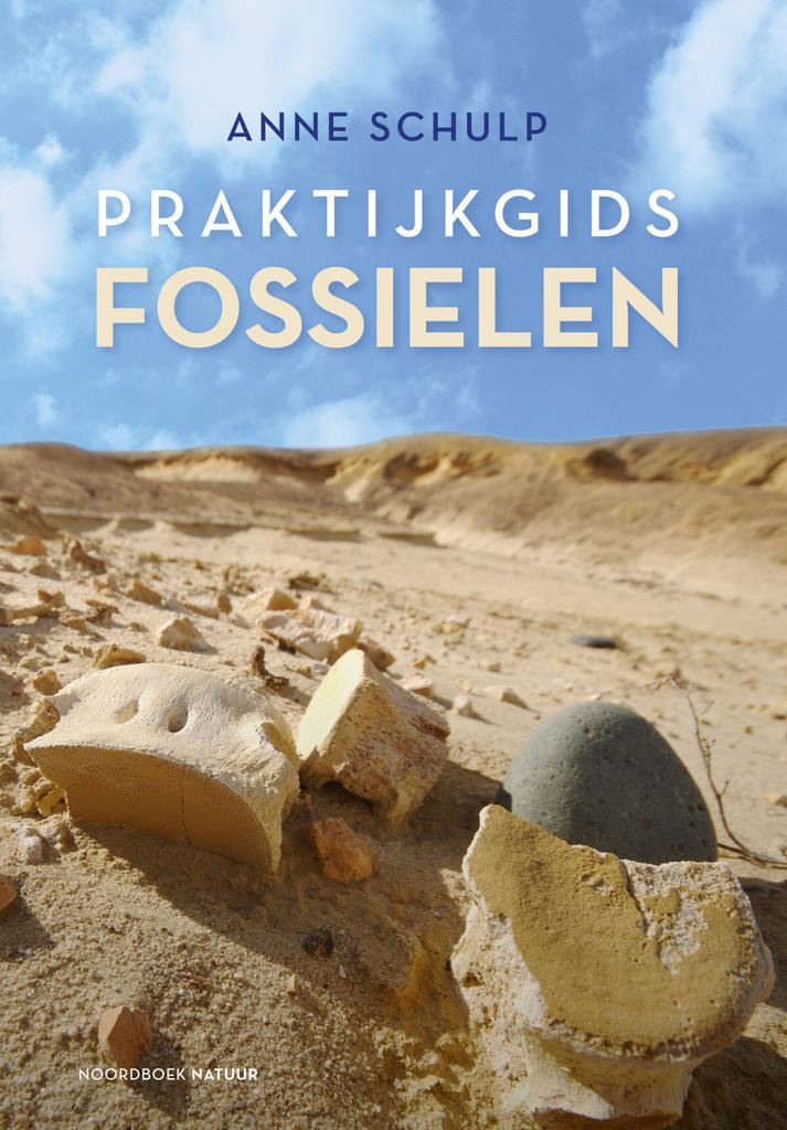 Praktijkgids fossielen / Noordboek Natuur 9789056156688, Boeken, Wetenschap, Gelezen, Verzenden
