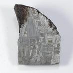 Aletai IJzer meteoriet - 80.4 g