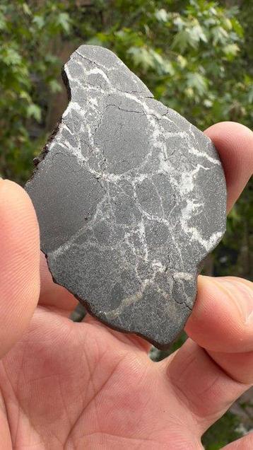 Campo del Cielo meteorite silicaat ijzermeteoor - 20 g