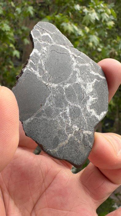 Campo del Cielo meteorite silicaat ijzermeteoor - 20 g, Verzamelen, Mineralen en Fossielen