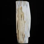 456 g Primitieve Stele – Versteend hout, monolithische