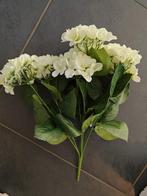 Hortensia groot - hydrangea bush wit 54 cm super flowerwall, Nieuw