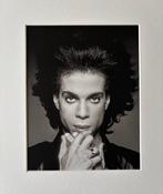 Steve Parke - Prince