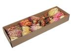 Protea de luxe assortiment naturel doos 26 stuks -, Huis en Inrichting, Nieuw