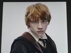 Harry Potter - Signed by Rupert Grint (This is a red carpet, Verzamelen, Nieuw